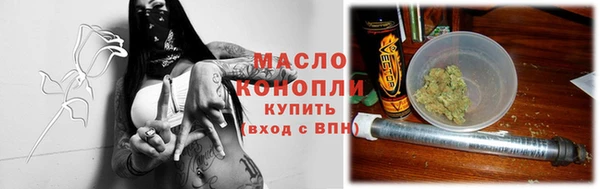 молекула духа Вяземский