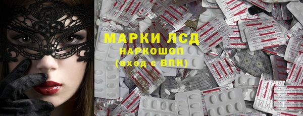 стаф Вязьма