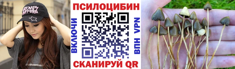shop формула Старый Оскол Галлюциногенные грибы GOLDEN TEACHER